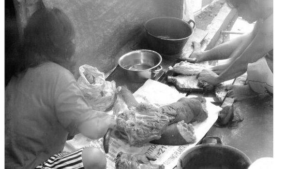 Anggota DPR Terima Aduan Orangutan Dibunuh dan Dimasak di Kalbar