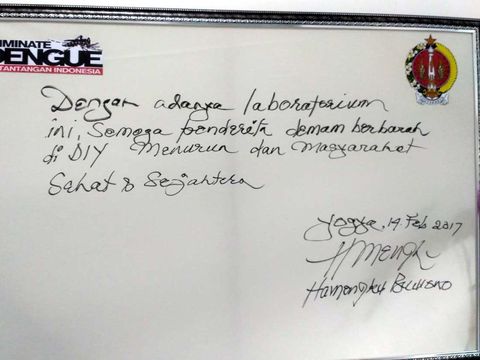 Sultan HB X Rasakan Gigitan Nyamuk Aedes aegypti Ber-wolbachia