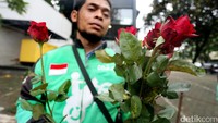Sebanyak 300 bunga mawar dibagikan kepada penumpang Go-Ride.