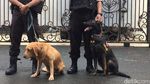 Polisi Siaga di TPS Cagub Agus