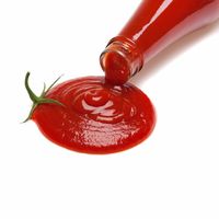 Dicocol Apa Saja, Kenapa Saus Tomat Enak Gurih Rasanya Ya?