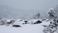 Desa Shirakawa-go merupakan salah satu situs warisan dunia oleh UNESCO di Jepang. Di desa ini, traveler bisa menginap di ryokan dengan suasana yang masih sangat alami (Firdaus/detikTravel) 