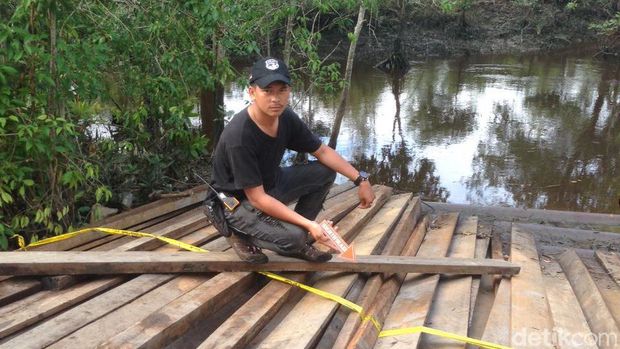 Polres Meranti Sita Kayu Hasil Pembalakan Liar