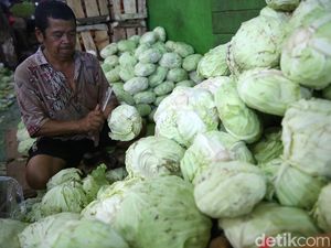 Rahasia Bagaimana Sayur-sayuran Seperti Kubis Bisa Cegah Kanker