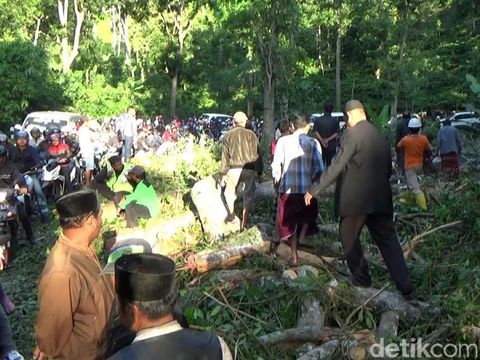 Polisi dan Perhutani KPH Banyuwangi Inventarisir Pohon 