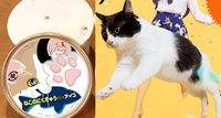 Berani Coba Es Krim Rasa Cakar Kucing dan Anjing dari Jepang?