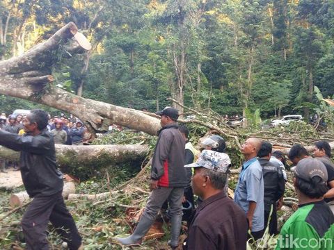 Pohon beringin tumbang timpa rumah yang dijadikan warung