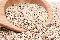 5 Manfaat Quinoa Bagi Kesehatan dan Cara Memasaknya untuk Diet