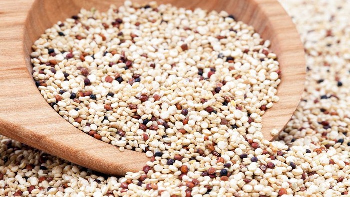 quinoa bukan makanan orang kaya cake cokelat premiun Bakerzin