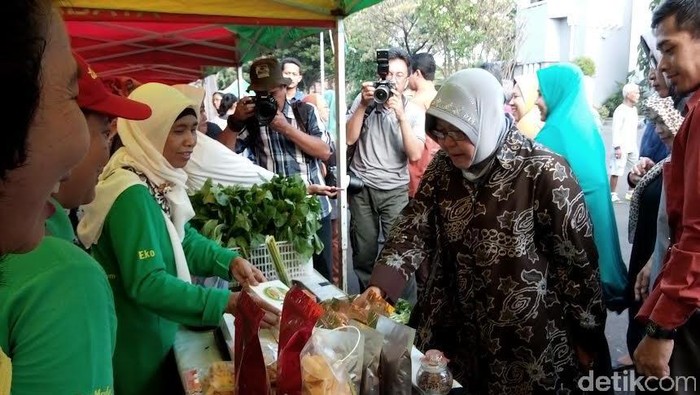 Surabaya akan Bangun Mekanisasi Pertanian, Peternakan dan Listrik
