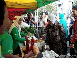 Surabaya akan Bangun Mekanisasi Pertanian, Peternakan dan Listrik