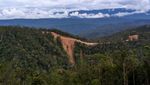 Menyelusuri Jalan Trans Papua