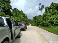 Jalan Trans Papua rute Sorong-Manokwari