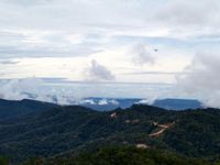 Tembus Gunung dan Hutan, Ini Jalan Trans Papua Sorong-Manokwari