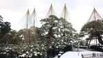 Musim Dingin, Taman Jepang ini Justru Makin Instagrammable