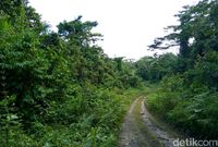 Off Road di Trans Papua