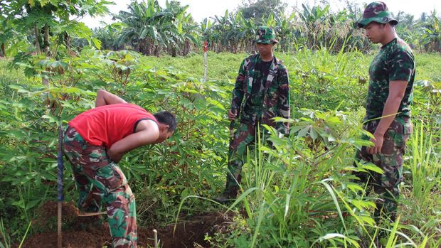 Program 'Emas Hijau' Tingkatkan Hasil Pertanian Masyarakat Maluku