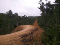Trans Papua Barat Tersambung 100% Tahun Ini
