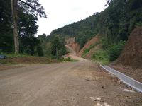 Trans Papua Barat Tersambung 100% Tahun Ini