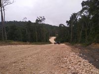 Trans Papua Barat Tersambung 100% Tahun Ini
