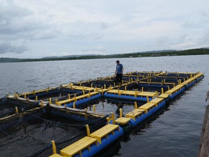 Program Emas Biru Bikin Panen Nelayan Maluku Meningkat