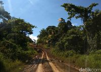 Off Road di Trans Papua