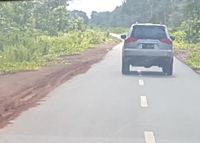 3 Hari Jajal Jalan Trans Papua di Perbatasan RI-PNG
