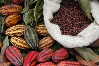 Cokelat Khas Bali Punya Karakter Unik yang Memikat Ahli Cokelat Prancis