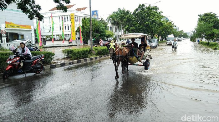 Naik Delman Terobos Banjir Kelapa Gading, Warga Bayar Rp 60 Ribu