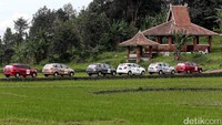 Hamparan persawahan memanjakan pandangan para Risers Datsun.