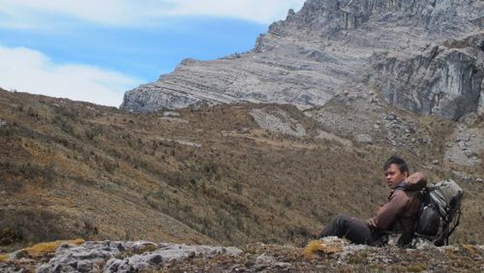 Pegunungan Jayawijaya, Papua, 