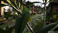 Kesadaran untuk menjaga kebersihan dan lingkungan itu pun telah menjadi sebuah kebiasaan turun temurun di masyarakat.