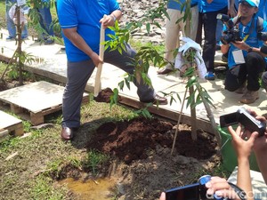 Hutan NARBO di Kawasan Waduk Jatiluhur Kembali Dihijaukan