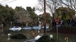 Banjir Terjang California, Puluhan Mobil Terendam