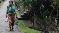 Selain itu, peraturan lain yang harus ditaati turis dan warga di desa tersebut adalah kendaraan bermotor tak diperkenankan memasuki jalan utama Desa Penglipuran. Peraturan ini sudah menjadi kesepakatan warga setempat melalui keputusan bersama hanya boleh sampai parkiran yang disediakan. Kecuali untuk para disabilitas diperbolehkan menggunakan kursi roda.