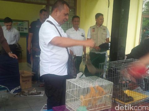 Tim KLHK Gagalkan Penyelundupan Satwa Liar di Pekanbaru