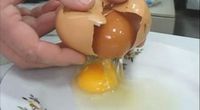 Wah, di Dalam Telur Ini Ada Telur Utuh Berkulit!