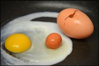 Wah, di Dalam Telur Ini Ada Telur Utuh Berkulit!