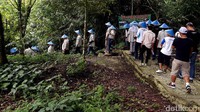 Dengan memakai caping, mereka menyelusuri jalan-jalan desa.