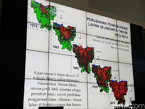 Banjir Jakarta, BNPB: Penggunaan Lahan di Jabodetabek Sangat Cepat