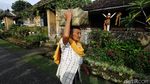 Pesona Desa Terbersih Dunia yang Ada di Pulau Dewata