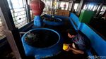 Melongok Masjid Agung Sang Cipta Rasa Kasepuhan