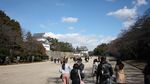Bertemu Samurai di Kastel Nagoya Jepang