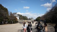 Foto: Terletak di pusat kota, traveler dapat mengunjungi Kastel Nagoya naik kendaraan pribadi atau transportasi publik. Kalau naik kereta misalnya, bisa turun di Stasiun Shiyakusho (Firdaus/detikTravel)