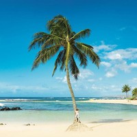 Talula Does The Hula From Hawaii, Selandia Baru. Pada 2008 seorang gadis berusia 9 tahun dari Selandia Baru jadi kasus di pengadilan karena namanya. Hakim menilai bahwa pemberian nama aneh itu termasuk perbuatan kekerasan terhadap anak. Menurut pengacaranya, gadis tersebut menolak menyebutkan namanya kepada teman-teman sekelas karena takut diejek. Pengadilan kemudian mengambil perwalian gadis itu dan mengizinkannya untuk mengubah nama. Foto: (Kauai Visitors Bureau)