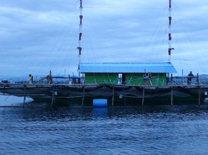Menjaring Ikan dengan Cahaya Lampu