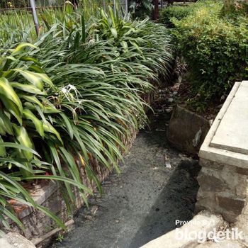 Tak Jauh dari Balai Kota Bandung, Selokan Ini Bau dan Penuh Sampah