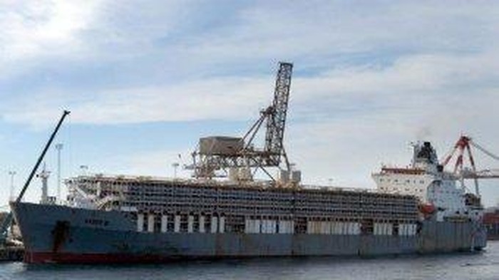 Lompat dari Kapal Ingin Minta Suaka, 3 Pelaut Pakistan Dideportasi