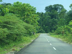 Pemerintah Juga Bangun Jalan Pantai Utara di Papua