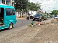 Warga Cibadak Sukabumi 'Tanam' Pohon Pisang di Jalan Nasional